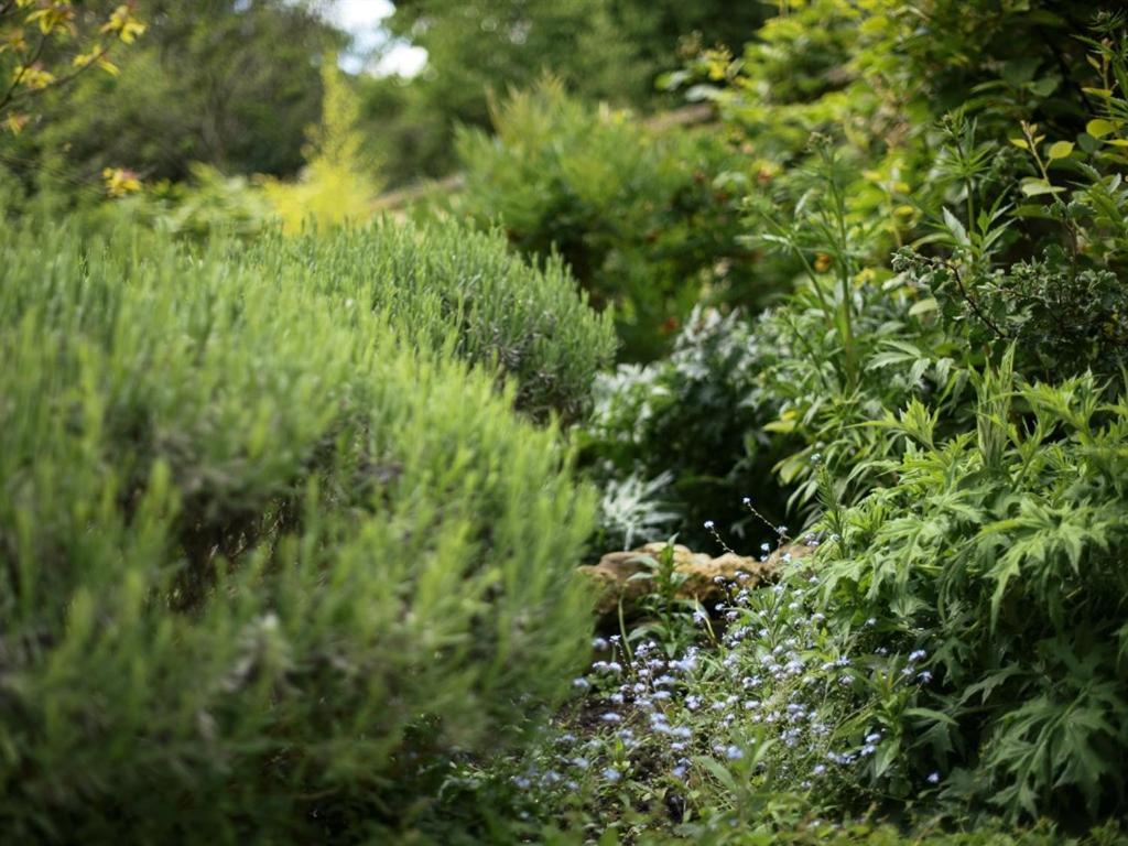 Percy Place Bath Luaran gambar